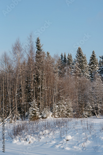Winter expanses on a frosty sunny day. © Grigoriy