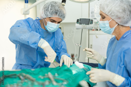 Picture shows process of surgery in veterinary hospital. Elderly woman doctor and male assistant work together professionally to save life and health of patient.