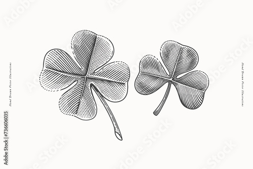 Two clover leaves in engraving style. St. Patrick's holiday element. Three leaf clover is a symbol of independence and freedom. The four leaf clover is a symbol of good luck and prosperity. photo