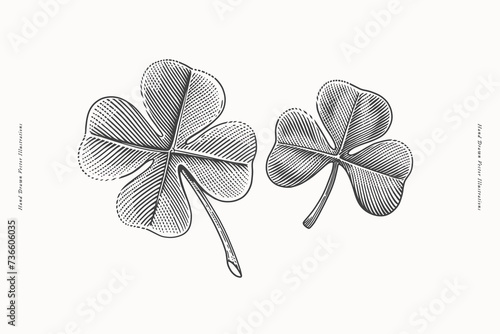 Two clover leaves in engraving style. St. Patrick's holiday element. Three leaf clover is a symbol of independence and freedom. The four leaf clover is a symbol of good luck and prosperity.