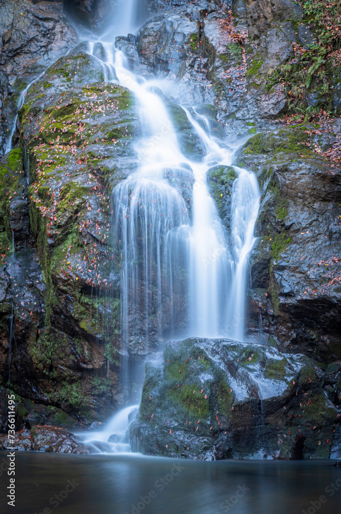 Fototapeta premium yalova double waterfall yellow leaves water flow in autumn