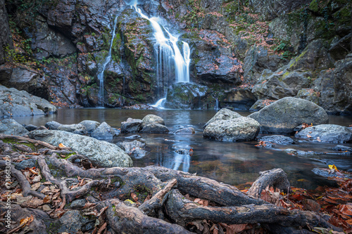 yalova double waterfall yellow leaves water flow in autumn photo