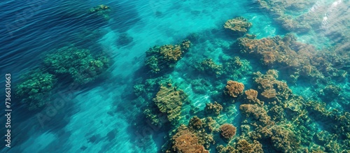 Aerial view showing visible coral reef on the surface of the sea.