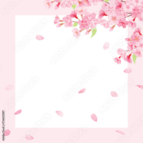 手書き水彩　桜のフレーム © fuwari