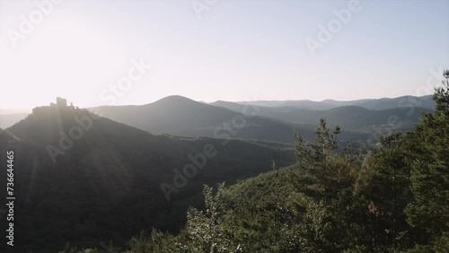 Handheld Panning Shot Of Palatinate Forest Against Clear Sky