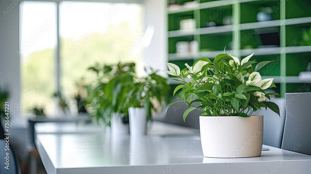 office interior, closeup, light and airy, white, green, grey office interior, closeup, light and airy, white, green, grey