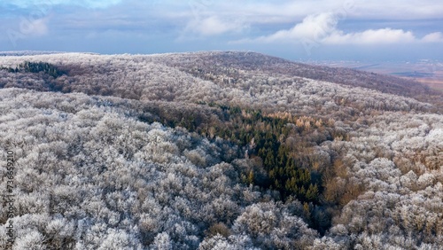 Winter landscape with hoarfrost over forest, aerial view, Pulkautal, Weinviertel, Lower Austria, Austria, Europe photo