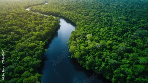 stunning aerial view of lush green forests and a clean river  symbolizing the beauty of our natural world on Earth Day