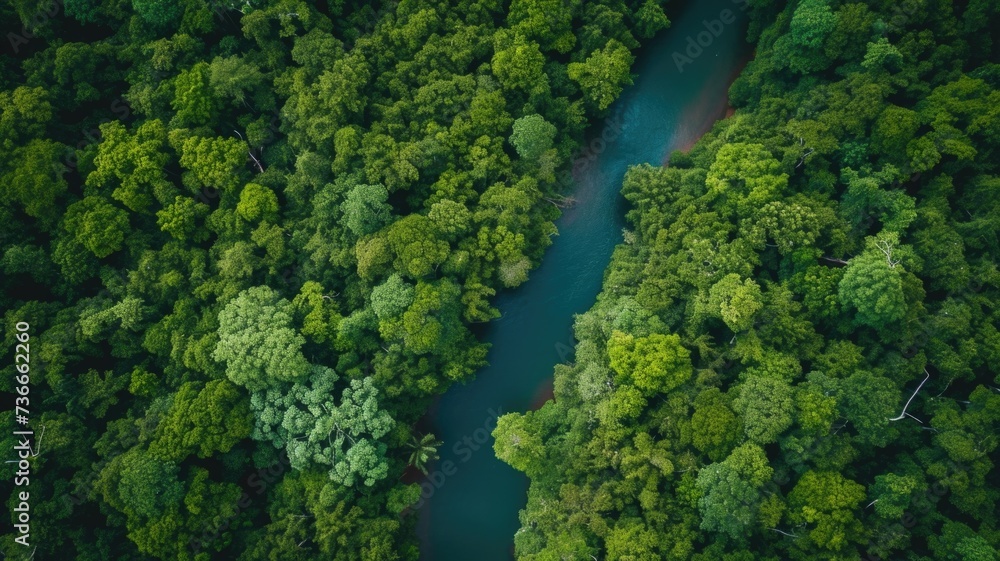stunning aerial view of lush green forests and a clean river, symbolizing the beauty of our natural world on Earth Day stunning aerial view of lush green forests and a clean river, symbolizing the beauty of our natural world on Earth Day