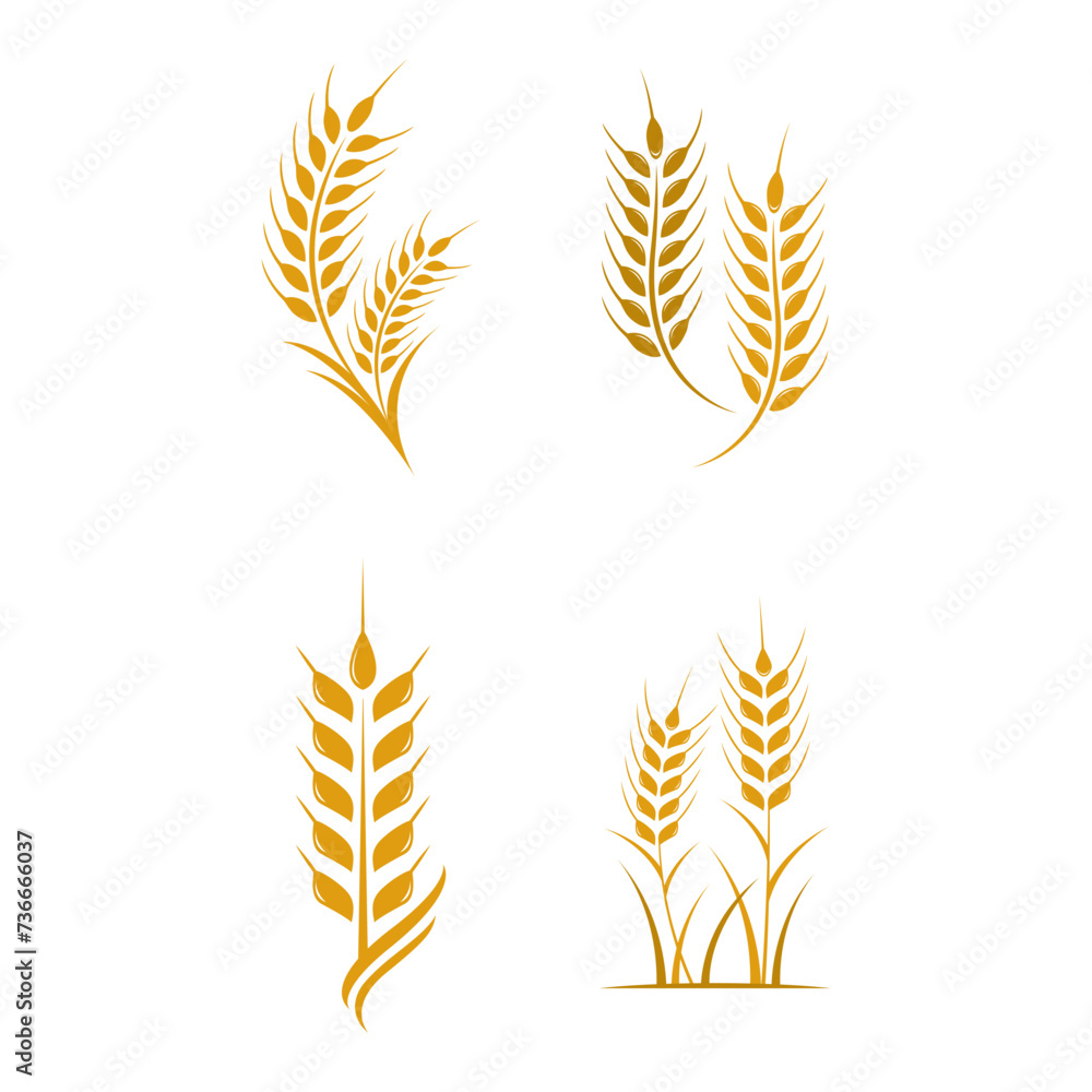 Obraz premium Agriculture wheat Logo Template vector icon