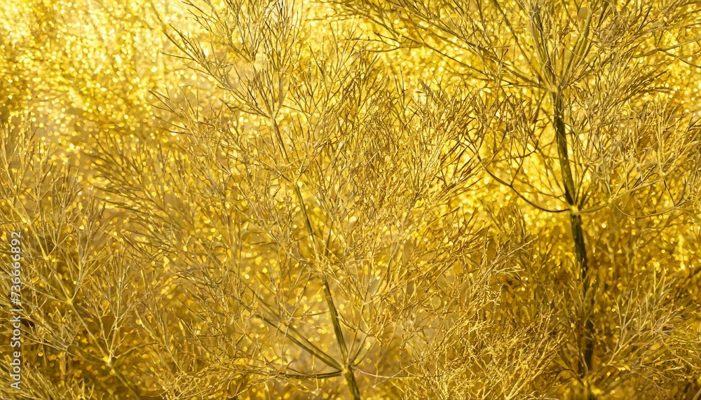 Obraz premium Golden horizontal background with dill texture