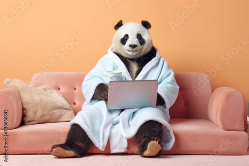 relaxed panda holds a laptop in his hands