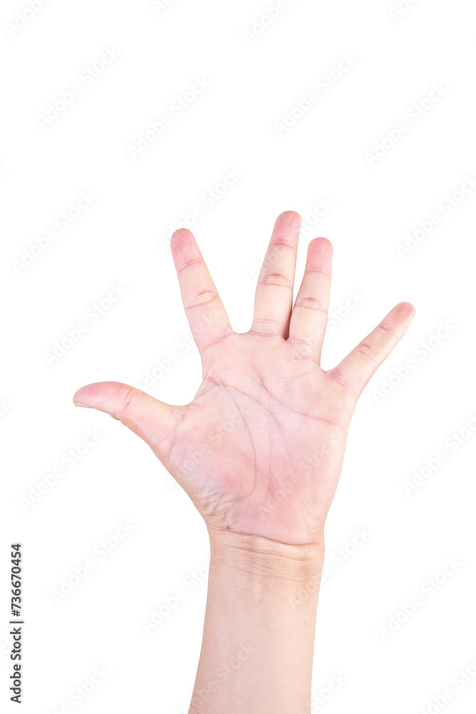 one hand on isolated background clipping path .Hands are counting numbers one hand on isolated background clipping path .Hands are counting numbers