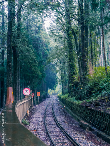 The track of trailway with people no crossing signs in the middle of forest at Alishan National Park, Taiwan photo