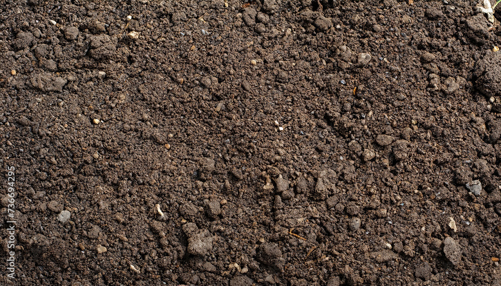 Top view of fertile garden soil. Background texture, concept for gardening and agriculture Top view of fertile garden soil. Background texture, concept for gardening and agriculture