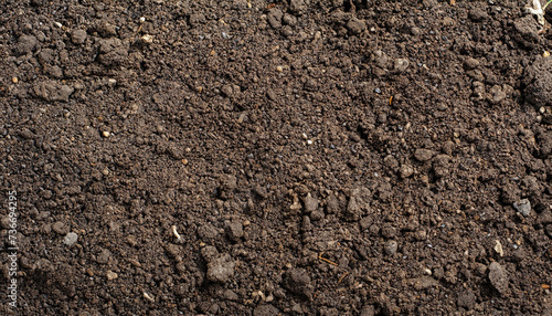 Top view of fertile garden soil. Background texture, concept for gardening and agriculture