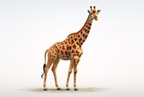 a giraffe standing on sand