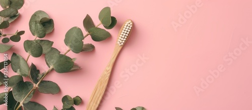 A twig made of wood resembling a toothbrush is elegantly displayed among eucalyptus leaves on a vibrant pink background, creating a beautiful artistic gesture in macro photography