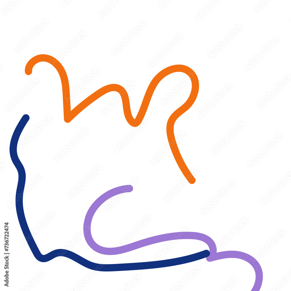 Abstract Squiggly lines vectors Abstract Squiggly lines vectors