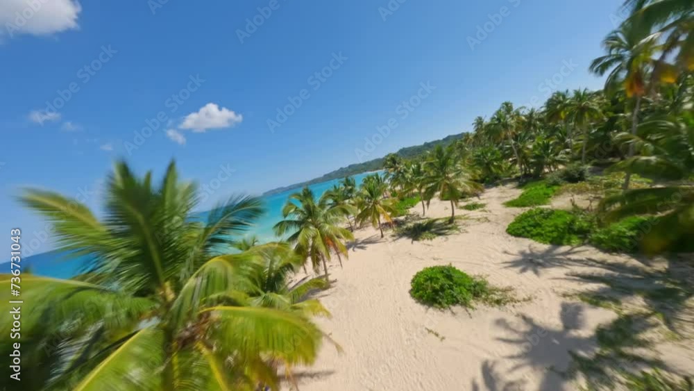 FPV drone flight over tropical Playa Rincon with turquoise sea and palm trees FPV drone flight over tropical Playa Rincon with turquoise sea and palm trees