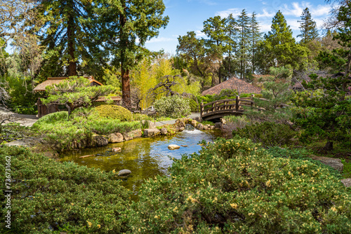 Beautiful view of the pond and bridge. Hakone Gardens in Saratoga, California photo
