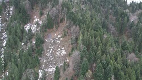 Fronalpstock Glarus Switzerland aerial flight close towards mountain forest trees photo