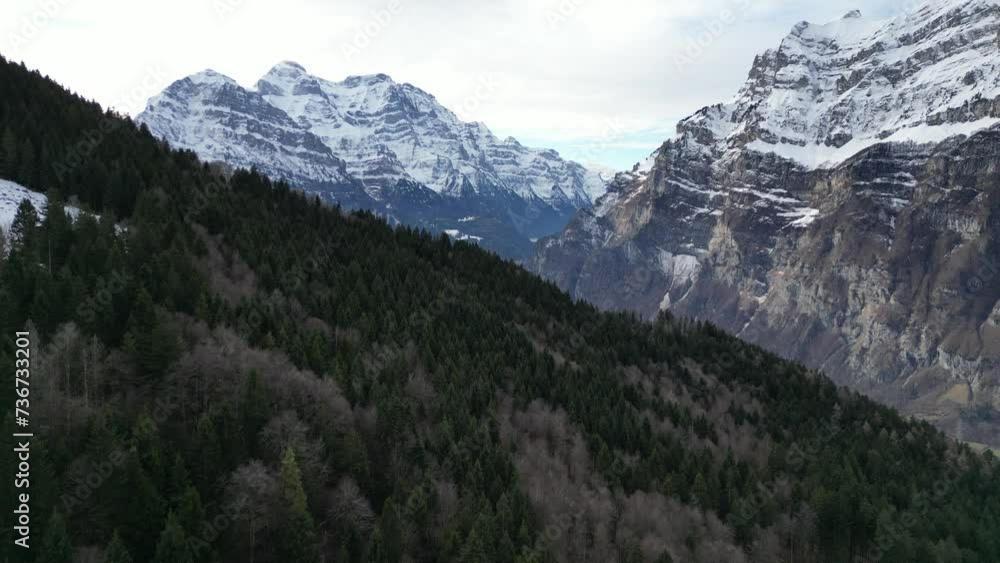 Fronalpstock Glarus Switzerland low aerial over the evergreen forest in the mountains Fronalpstock Glarus Switzerland low aerial over the evergreen forest in the mountains