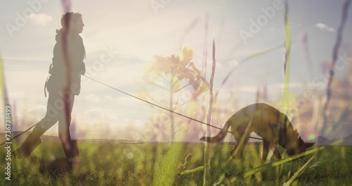 Fototapeta Digital composite of a man walking his dog on grass land with tall grass in the foreground 4k