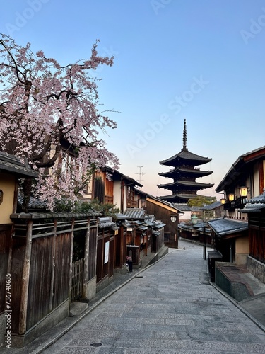Sakura Season in Kyoto, Japan’s Ancient Capital