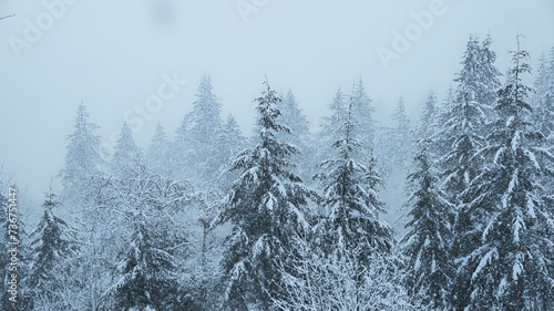 Scenic view of snow-covered pine trees. © Wirestock