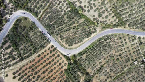 Static shot overhead a road threough the Alpilles Regional National Park photo