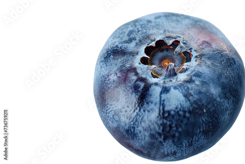 Closeup of Blueberry
