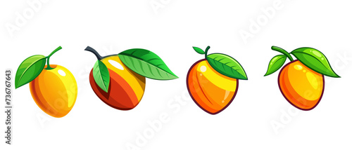 Fototapeta Naklejka Na Ścianę i Meble -  Mango fruit vector isolated, mango set.