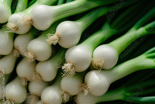 close up of fresh organic green onions
