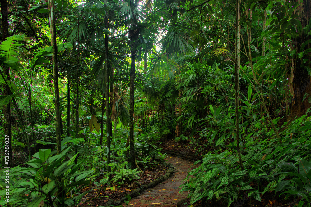 tropical garden, Queensland, Australia tropical garden, Queensland, Australia