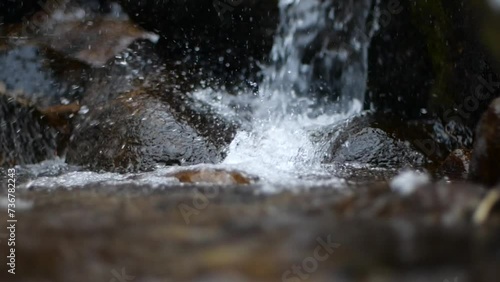 Wallpaper Mural 渓流　降雪　スローモーション　フォローフォーカス Torontodigital.ca