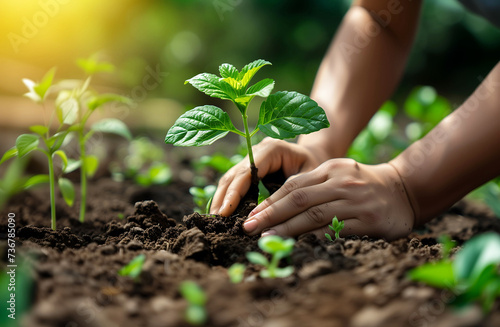 Eco-friendly lifestyle, a person planting a tree in a community garden on sustainability and growth, symbolizing the cycle of life and the beauty of gardening.