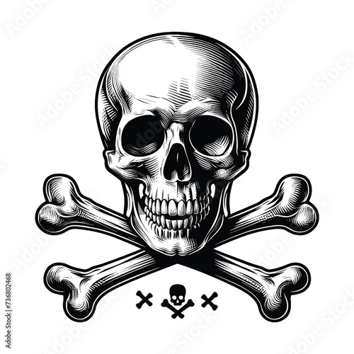 skull and crossbones, danger and power vector illustration