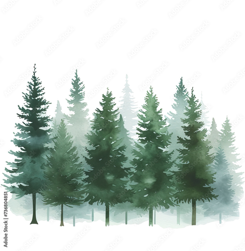 Fototapeta premium Pine forest isolated on transparent background. PNG