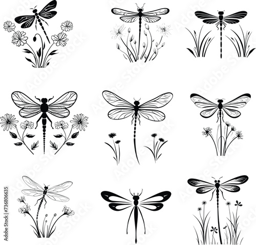 dragonfly silhouette, logo, set vector illustration © Meiman lifestore 