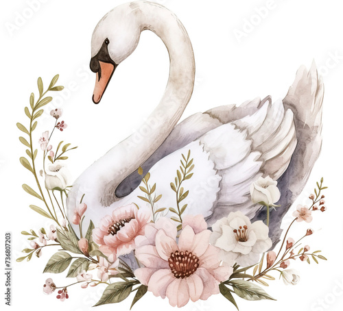 Fototapeta Naklejka Na Ścianę i Meble -  White swan sitting on flower isolated on transparent background. PNG