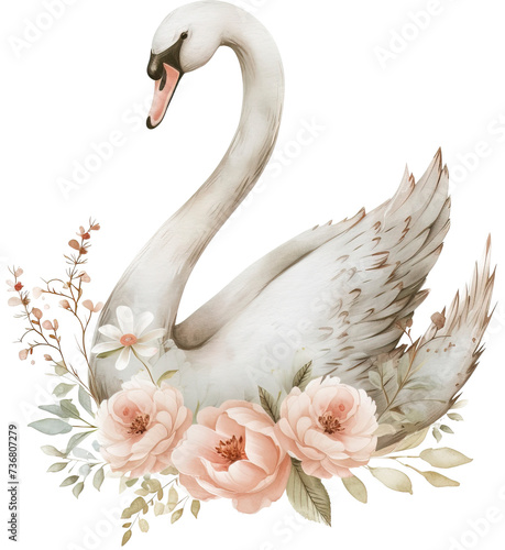 Fototapeta Naklejka Na Ścianę i Meble -  White swan sitting on flower isolated on transparent background. PNG