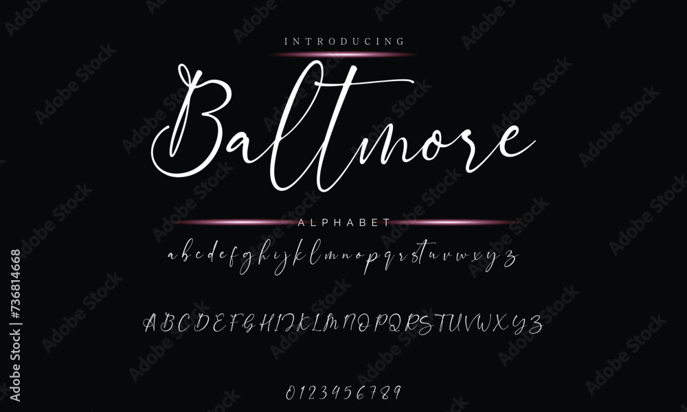 signature Font Calligraphy Logotype Script Brush Font Type Font lettering handwritten