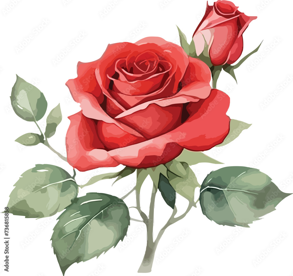 watercolor red rose flowers, vector illustration - obrazy, fototapety, plakaty 