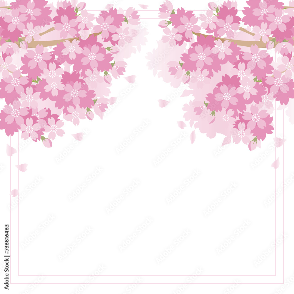 桜 さくら フレーム 背景 春 花 お花見 入学 卒業 コピースペース イラスト素材 桜 さくら フレーム 背景 春 花 お花見 入学 卒業 コピースペース イラスト素材