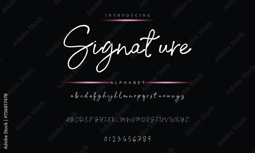 signature Font Calligraphy Logotype Script Brush Font Type Font lettering handwritten