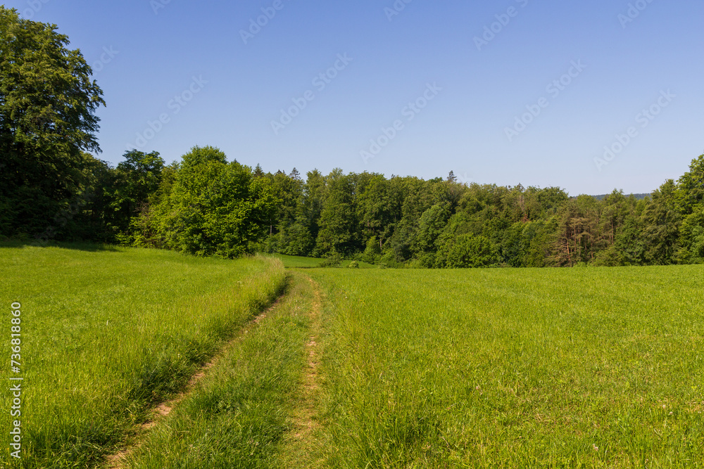 Hiking path, hill panorama and forest with trees near Obertrubach in Franconian Switzerland, Germany