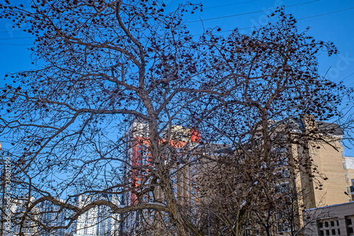 Wallpaper Mural A fragment of the urban landscape on a winter day Torontodigital.ca