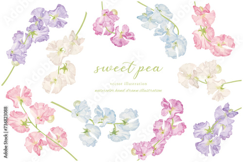 水彩手書きのスイートピーのフレーム素材