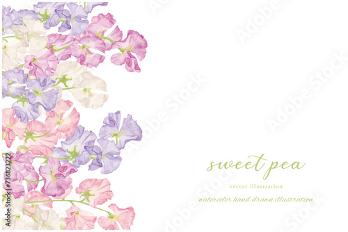 水彩手書きのスイートピーのフレーム素材